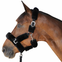 Licol De Transport Canter Noir Licol De Transport Canter Noir