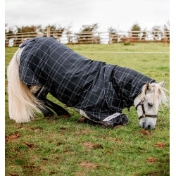 Manta de exterior pônei Horseware Rhino 0g + 200g | Equitação Manta de exterior pônei Horseware Rhino 0g + 200g | Equitação