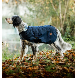 Capa para Cão Horseware Newmarket – Equitação