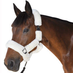 Cabresto de Transporte Canter Natural Castanho Cabresto de Transporte Canter Natural Castanho