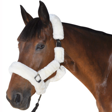 Cabresto de Transporte Canter Natural Castanho Cabresto de Transporte Canter Natural Castanho