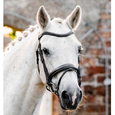 Bridão de equitação pônei com focinheira Horseware