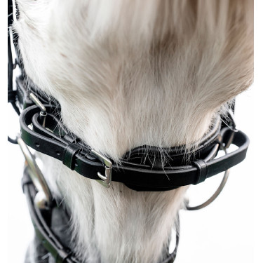 Bridão de equitação pônei com focinheira Horseware