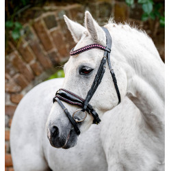 Bridão pônei Horseware Diamante Flash Preto / rosa Bridão pônei Horseware Diamante Flash Preto / rosa