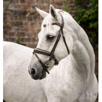 Caveçon de pônei Horseware Preto