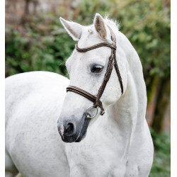 Caveçon de pônei Horseware Castanho