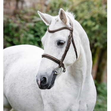 Caveçon de pônei Horseware Castanho
