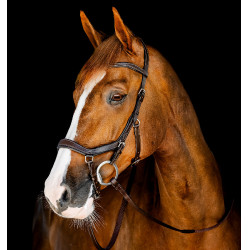 Bridão Horseware Micklem Competition Havana escuro Castanho