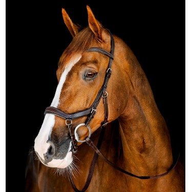 Bridão Horseware Micklem Competition Havana escuro Castanho