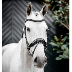 Bridão Horseware Diamante com Flasheur Preto / preto