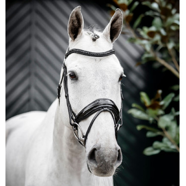 Bridão Horseware Diamante com Flasheur Preto / preto