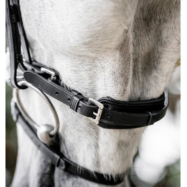 Bridão Horseware Diamante com Flasheur Preto / prata Bridão Horseware Diamante com Flasheur Preto / prata