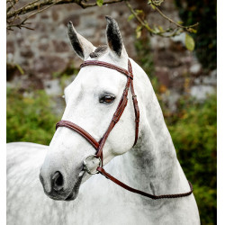 Bridão de equitação Hunter Horseware com rédeas