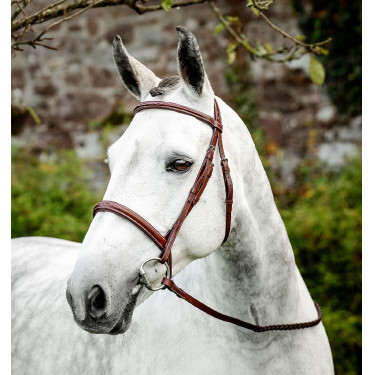 Bridão de equitação Hunter Horseware com rédeas