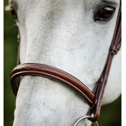Bridão de equitação Hunter Horseware com rédeas