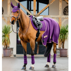 Manta de sela Close Contact Amigo Horseware Bagas-de-inverno Violeta