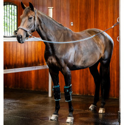 Joelheiras equestres Horseware Ice-Vibe com massagem Joelheiras equestres Horseware Ice-Vibe com massagem