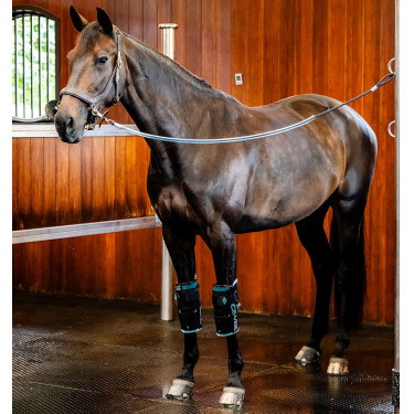 Joelheiras equestres Horseware Ice-Vibe com massagem Joelheiras equestres Horseware Ice-Vibe com massagem