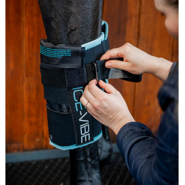 Joelheiras equestres Horseware Ice-Vibe com massagem Joelheiras equestres Horseware Ice-Vibe com massagem