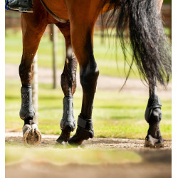 Guarnições para boleto Horseware® Classic Preto / preto