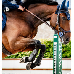 Guêtres Horseware® Classic Preto / preto Guêtres Horseware® Classic Preto / preto
