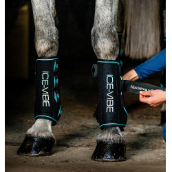 Guêtres Horseware Ice-Vibe Preto / aqua Azul Guêtres Horseware Ice-Vibe Preto / aqua Azul