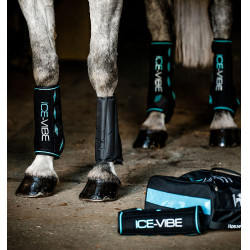 Guêtres Horseware Ice-Vibe Preto / aqua Azul Guêtres Horseware Ice-Vibe Preto / aqua Azul
