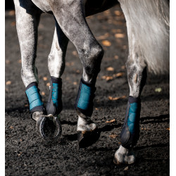 Guêtres de dressage Horseware® Classic Dinastia verde