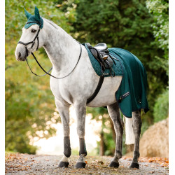 Guêtres de dressage Horseware® Classic Dinastia verde