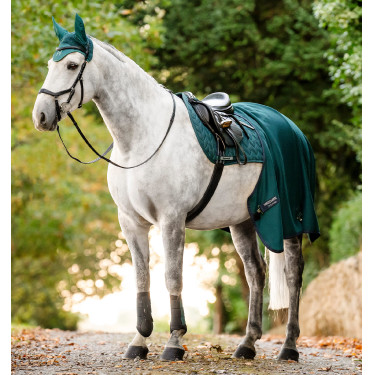 Guêtres de dressage Horseware® Classic Dinastia verde