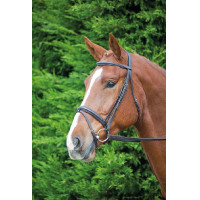 Bridão Comfort Fit Aviemore Shires Havana Castanho Bridão Comfort Fit Aviemore Shires Havana Castanho
