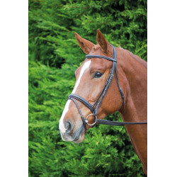 Bridão de Equitação Comfort Fit Aviemore Shires