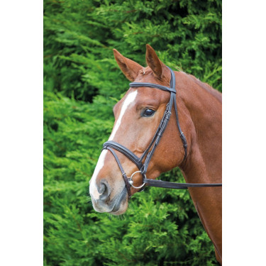 Bridão de Equitação Comfort Fit Aviemore Shires