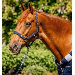 Cabresto e guia Horseware Newmarket Marine witney Azul-marinho Cabresto e guia Horseware Newmarket Marine witney Azul-marinho