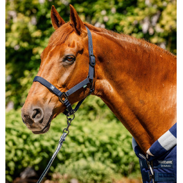 Cabresto e guia Horseware Newmarket Marine witney Azul-marinho Cabresto e guia Horseware Newmarket Marine witney Azul-marinho