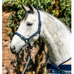 Cabresto e guia Horseware Newmarket Marine witney Azul-marinho Cabresto e guia Horseware Newmarket Marine witney Azul-marinho