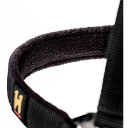 Cabresto e guia Horseware Newmarket Ouro branco