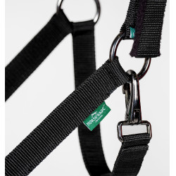 Cabresto e guia Horseware Newmarket Ouro branco