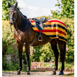Cobre-rins polar Horseware Newmarket Ouro branco