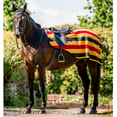 Cobre-rins polar Horseware Newmarket Ouro branco