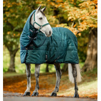Protetor de pescoço de estábulo Horseware Amigo Ripstop Insulator 200g Dinastia verde / marinho / prateado