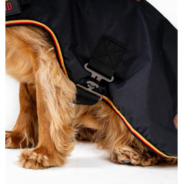 Capa impermeável para cão Horseware | Equitação