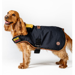 Capa impermeável para cão Horseware | Equitação
