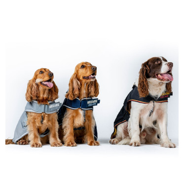 Capa impermeável para cão Horseware | Equitação