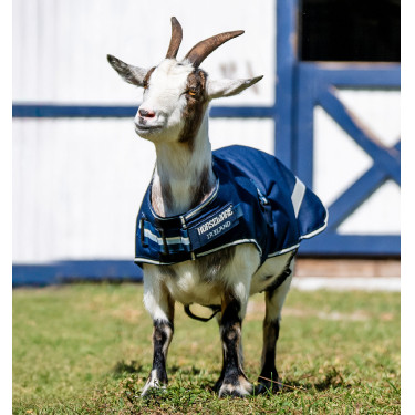 Manta impermeável para cabra Horseware 0g – equitação