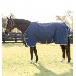 Capa Horseware Rhino Turnout 100g Preto / cinza titânio / azul clássico Capa Horseware Rhino Turnout 100g Preto / cinza titânio / azul clássico