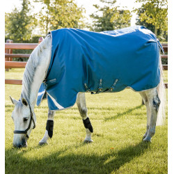 Capa Horseware Ionic Therapy Turnout 100g Bleu imperial / argent /Marine Azul