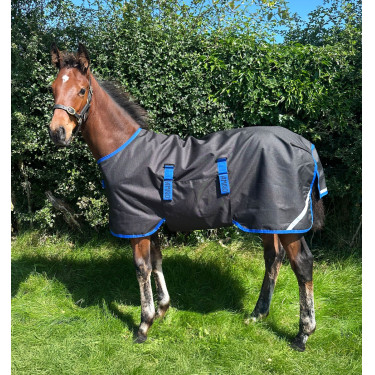 Capa Horseware Amigo Ripstop 900D Potro Turnout 50g Preto / azul clássico