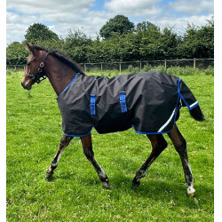 Manta de Equitação Potro 900D 200g Impermeável Horseware