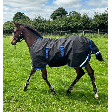 Manta de Equitação Potro 900D 200g Impermeável Horseware